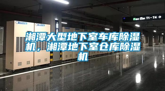 湘潭大型地下室車庫(kù)除濕機(jī)，湘潭地下室倉(cāng)庫(kù)除濕機(jī)