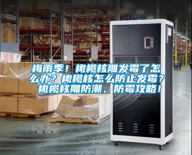 梅雨季！橄欖核雕發(fā)霉了怎么辦？橄欖核怎么防止發(fā)霉？ 橄欖核雕防潮、防霉攻略！