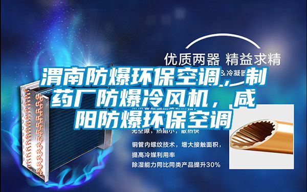 渭南防爆環(huán)保空調(diào)，制藥廠防爆冷風(fēng)機(jī)，咸陽防爆環(huán)?？照{(diào)