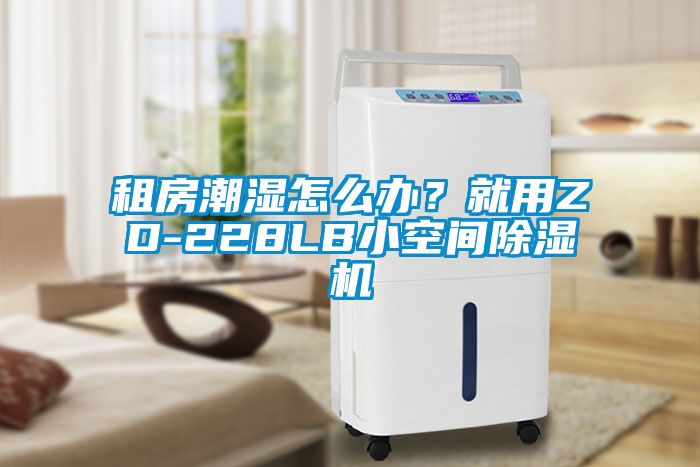 租房潮濕怎么辦？就用ZD-228LB小空間除濕機(jī)