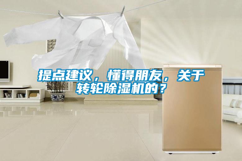 提點建議，懂得朋友，關于轉(zhuǎn)輪除濕機的？