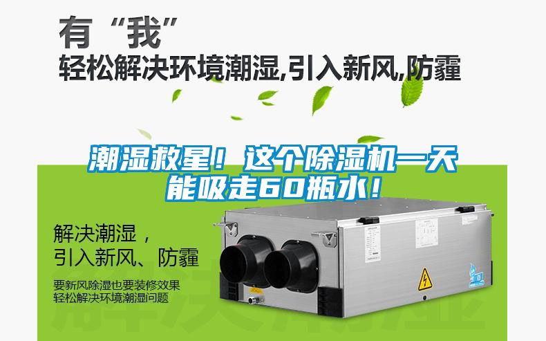 潮濕救星！這個(gè)除濕機(jī)一天能吸走60瓶水！
