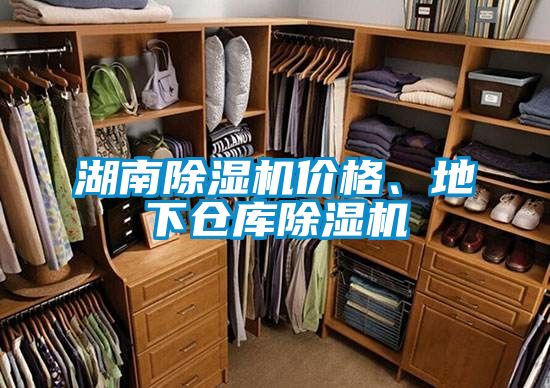 湖南除濕機(jī)價(jià)格、地下倉(cāng)庫(kù)除濕機(jī)