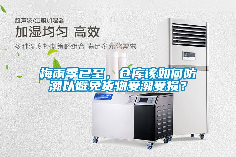 梅雨季已至，倉庫該如何防潮以避免貨物受潮受損？