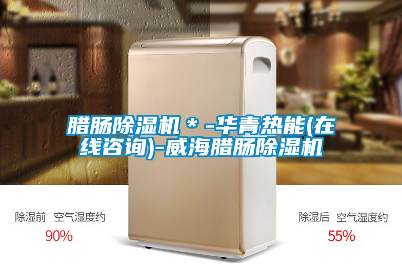 臘腸除濕機(jī)＊-華青熱能(在線咨詢(xún))-威海臘腸除濕機(jī)