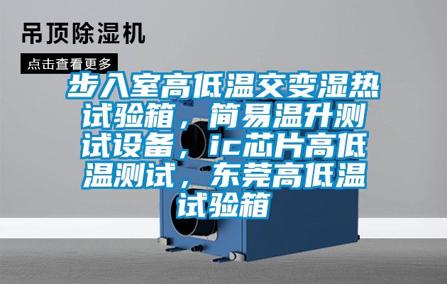 步入室高低溫交變濕熱試驗(yàn)箱，簡易溫升測試設(shè)備，ic芯片高低溫測試，東莞高低溫試驗(yàn)箱