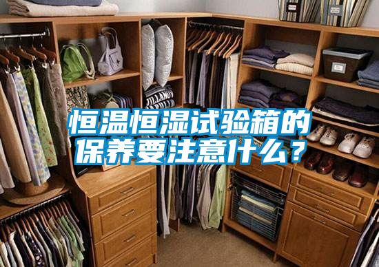 恒溫恒濕試驗(yàn)箱的保養(yǎng)要注意什么？