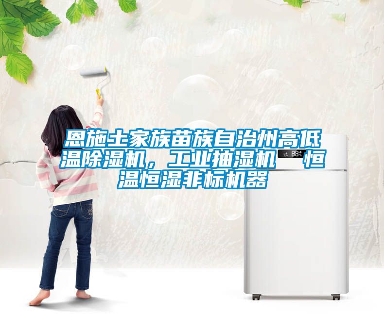 恩施土家族苗族自治州高低溫除濕機(jī)，工業(yè)抽濕機(jī)  恒溫恒濕非標(biāo)機(jī)器