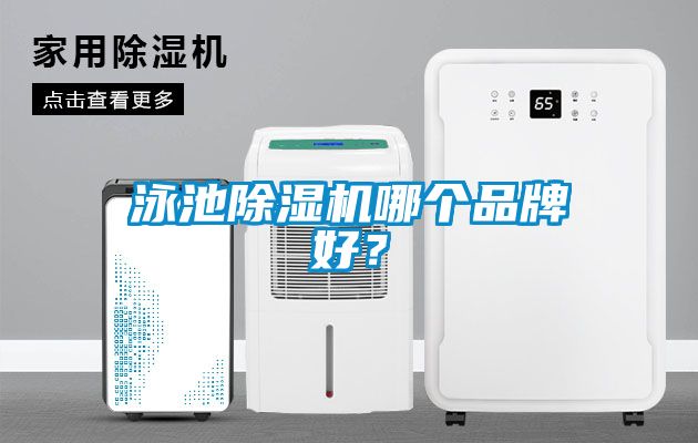 泳池除濕機哪個品牌好？