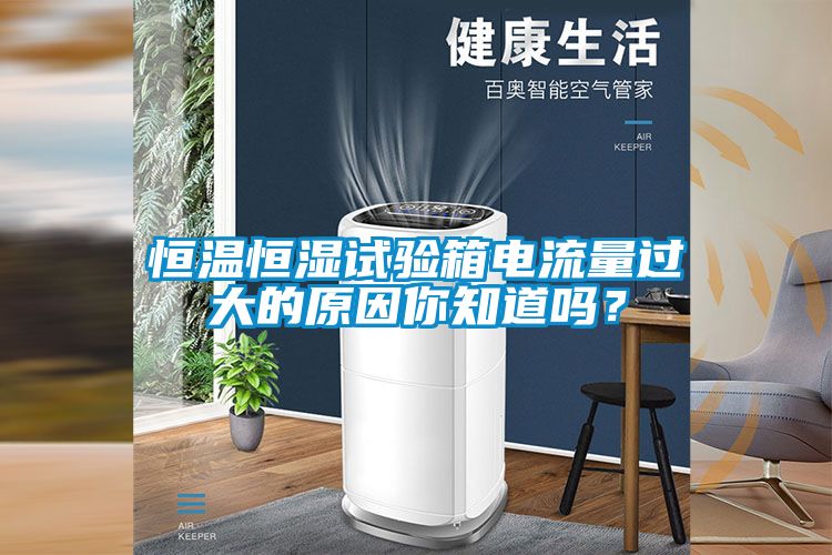 恒溫恒濕試驗(yàn)箱電流量過大的原因你知道嗎？