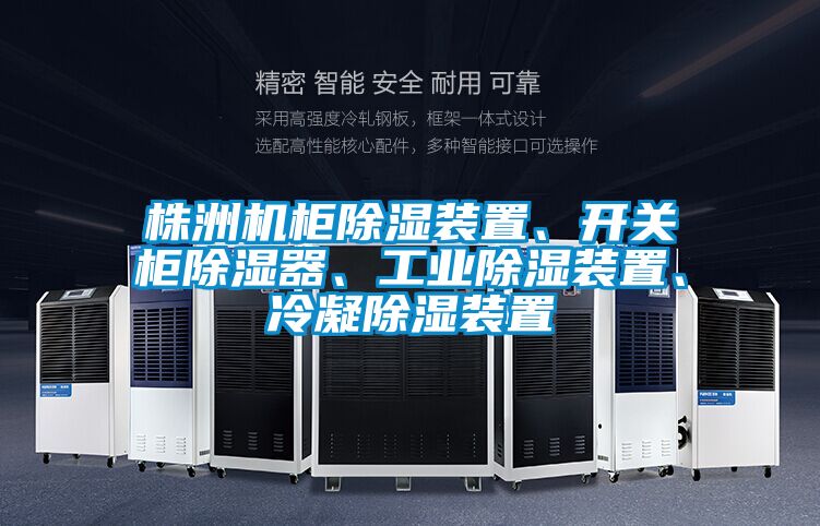 株洲機(jī)柜除濕裝置、開關(guān)柜除濕器、工業(yè)除濕裝置、冷凝除濕裝置