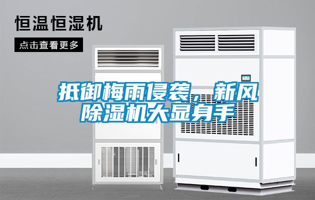 抵御梅雨侵襲，新風除濕機大顯身手