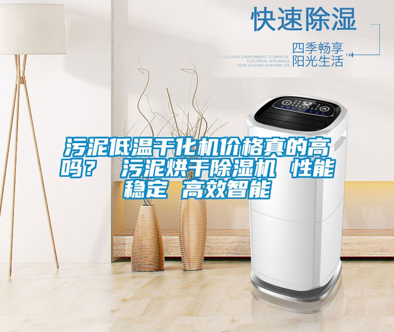 污泥低溫干化機(jī)價(jià)格真的高嗎？ 污泥烘干除濕機(jī) 性能穩(wěn)定 高效智能