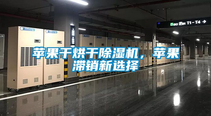 蘋(píng)果干烘干除濕機(jī)，蘋(píng)果滯銷新選擇