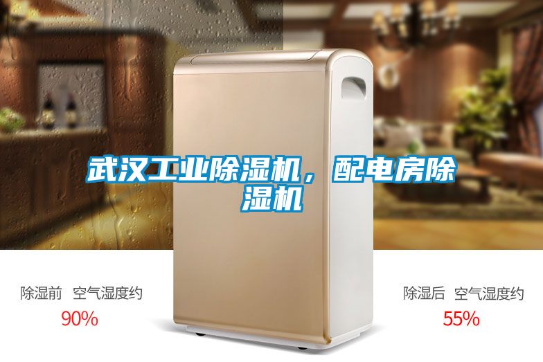 武漢工業(yè)除濕機，配電房除濕機