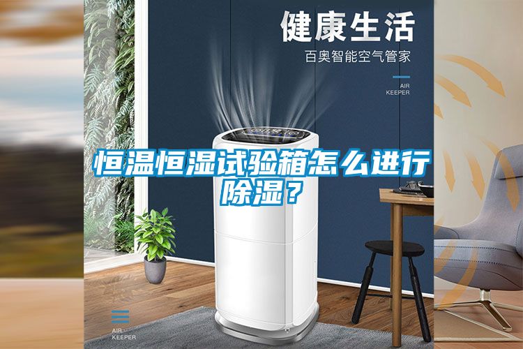 恒溫恒濕試驗箱怎么進(jìn)行除濕？