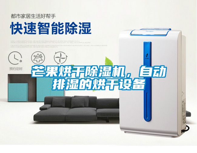 芒果烘干除濕機(jī)，自動(dòng)排濕的烘干設(shè)備