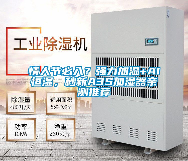 情人節(jié)必入？強力加濕+AI恒濕，秒新A3S加濕器親測推薦
