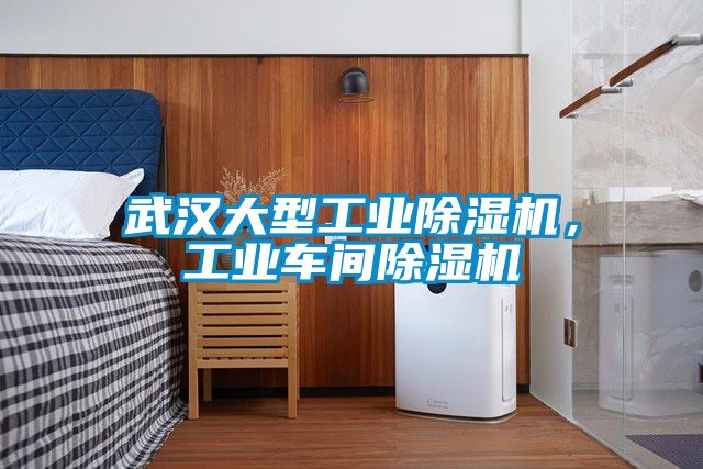 武漢大型工業(yè)除濕機，工業(yè)車間除濕機