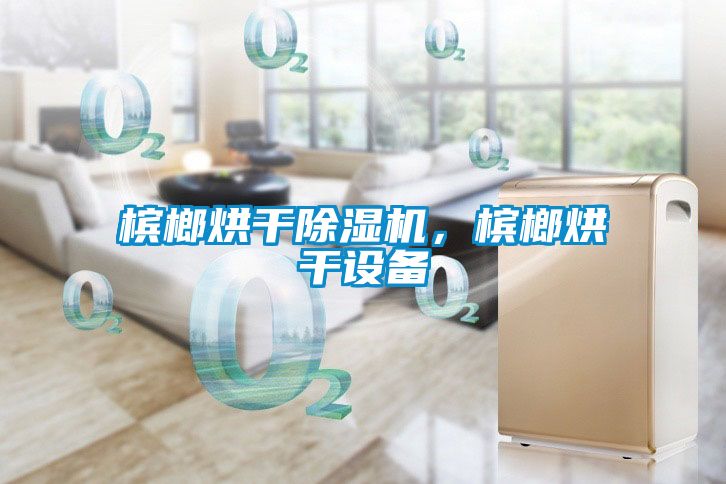 檳榔烘干除濕機，檳榔烘干設(shè)備