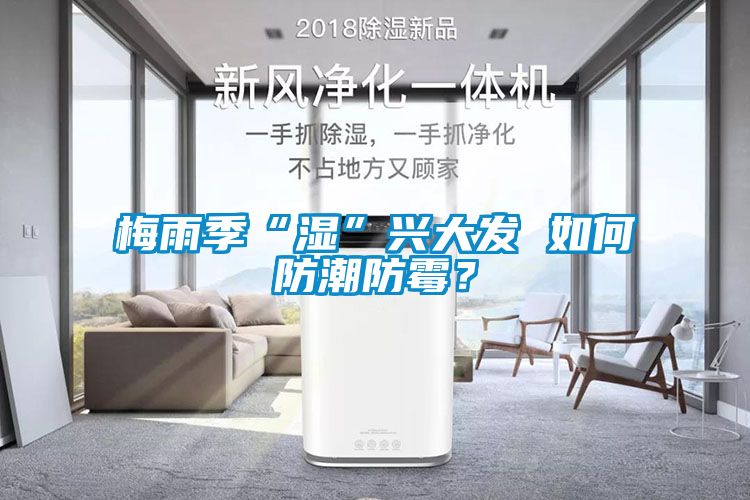 梅雨季“濕”興大發(fā) 如何防潮防霉？