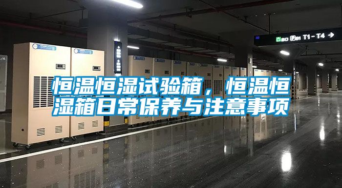 恒溫恒濕試驗箱，恒溫恒濕箱日常保養(yǎng)與注意事項