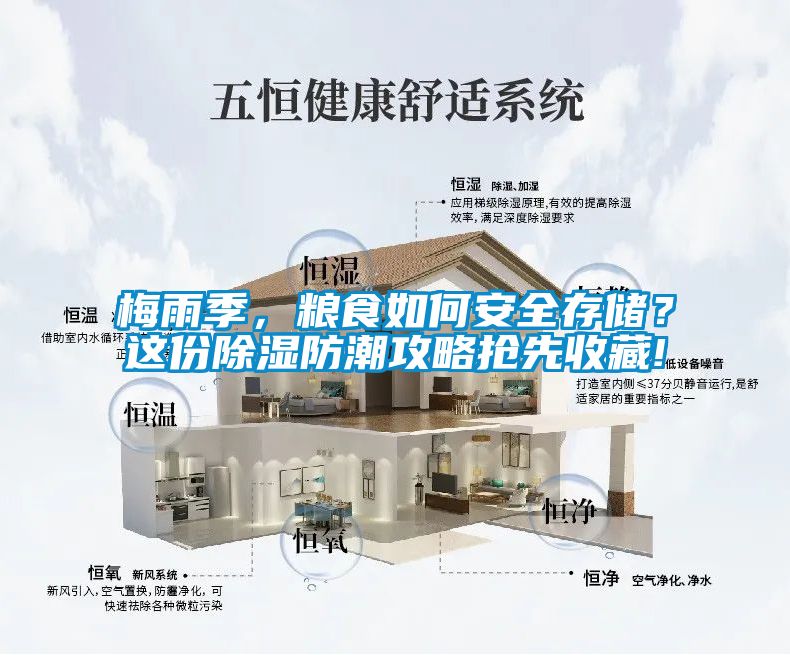 梅雨季，糧食如何安全存儲？這份除濕防潮攻略搶先收藏!