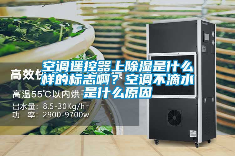 空調(diào)遙控器上除濕是什么樣的標志啊？空調(diào)不滴水是什么原因
