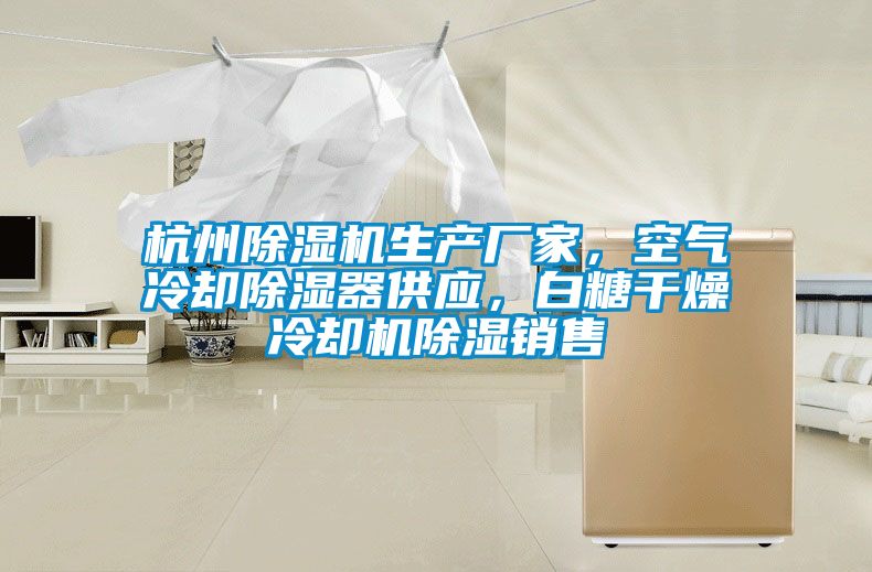 杭州除濕機生產(chǎn)廠家，空氣冷卻除濕器供應，白糖干燥冷卻機除濕銷售