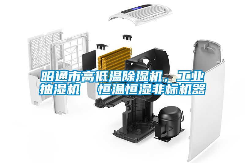 昭通市高低溫除濕機(jī)，工業(yè)抽濕機(jī)  恒溫恒濕非標(biāo)機(jī)器