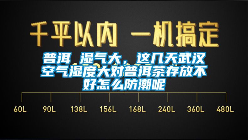 普洱 濕氣大，這幾天武漢空氣濕度大對普洱茶存放不好怎么防潮呢