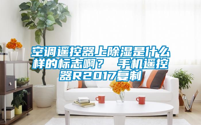 空調(diào)遙控器上除濕是什么樣的標志?。?手機遙控器R2017復制