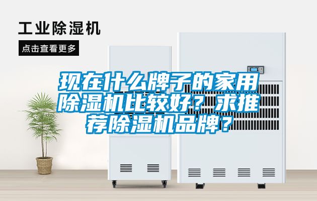 現(xiàn)在什么牌子的家用除濕機(jī)比較好？求推薦除濕機(jī)品牌？