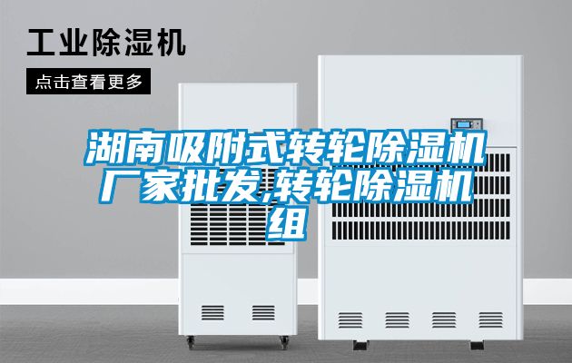 湖南吸附式轉(zhuǎn)輪除濕機(jī)廠(chǎng)家批發(fā),轉(zhuǎn)輪除濕機(jī)組
