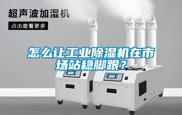 怎么讓工業(yè)除濕機(jī)在市場站穩(wěn)腳跟？