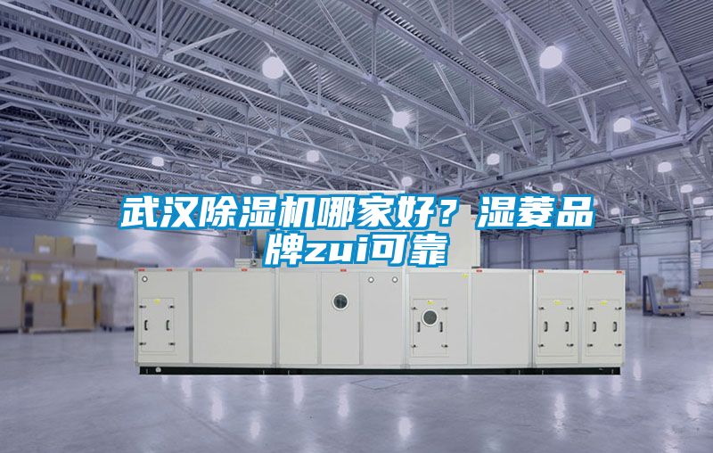 武漢除濕機哪家好？濕菱品牌zui可靠