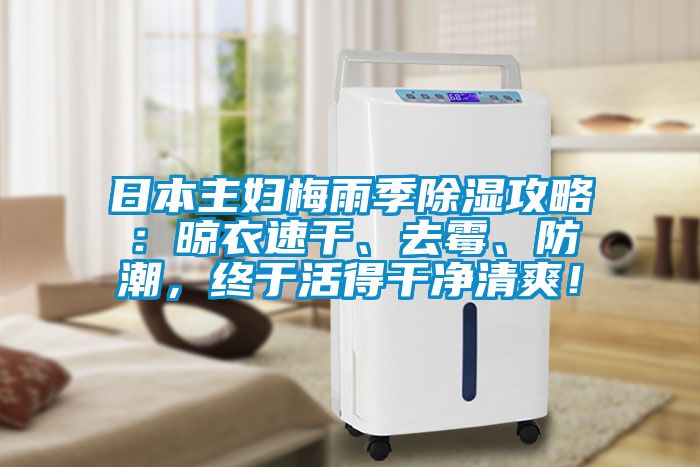 日本主婦梅雨季除濕攻略：晾衣速干、去霉、防潮，終于活得干凈清爽！