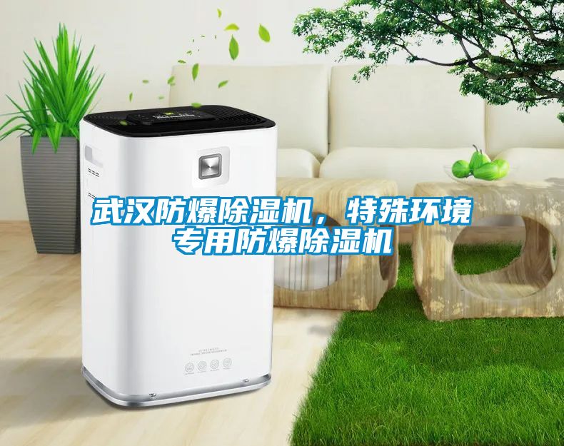 武漢防爆除濕機，特殊環(huán)境專用防爆除濕機