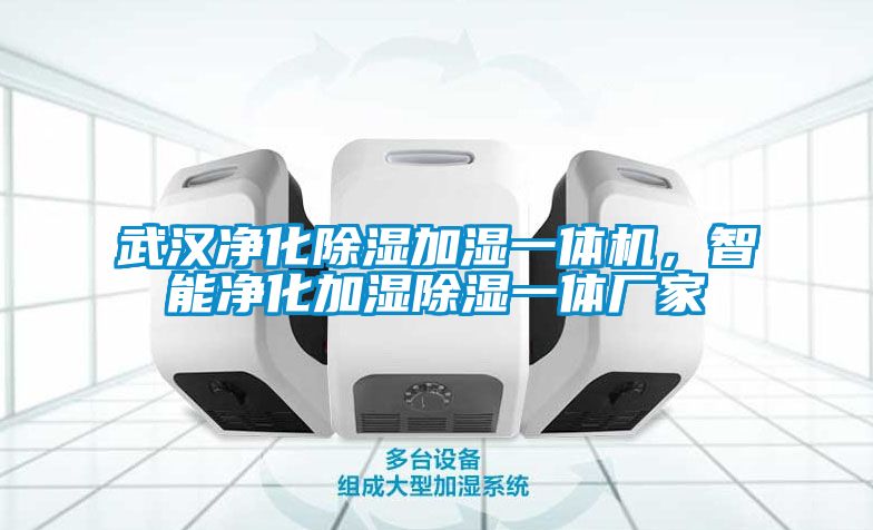 武漢凈化除濕加濕一體機，智能凈化加濕除濕一體廠家