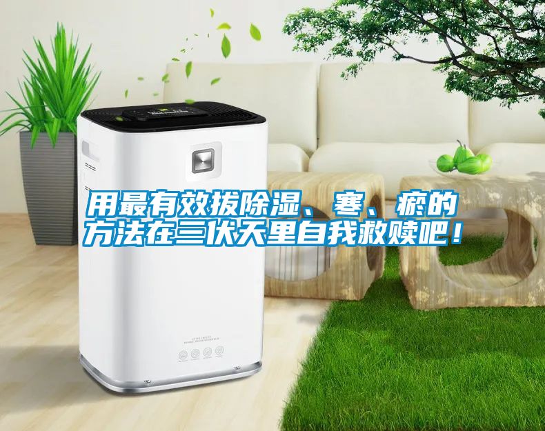 用最有效拔除濕、寒、瘀的方法在三伏天里自我救贖吧！