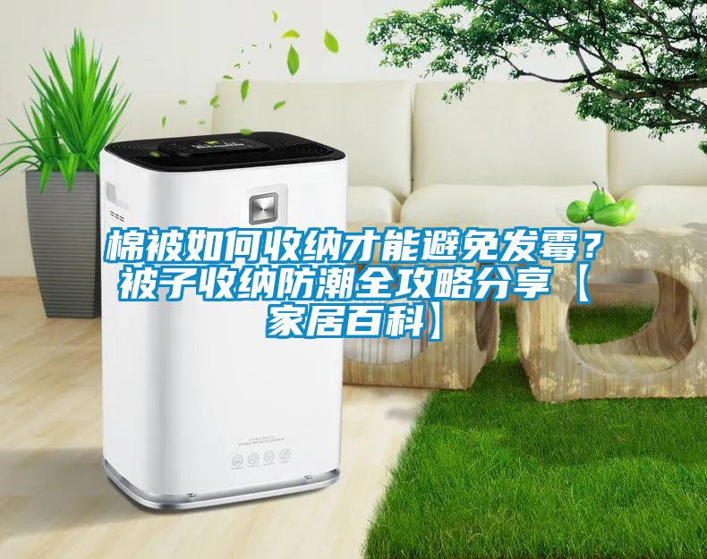棉被如何收納才能避免發(fā)霉？被子收納防潮全攻略分享【家居百科】
