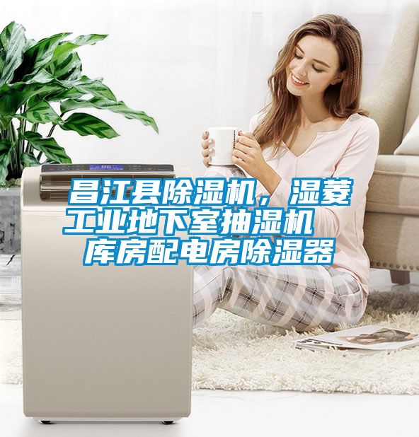 昌江縣除濕機(jī)，濕菱工業(yè)地下室抽濕機(jī)  庫房配電房除濕器