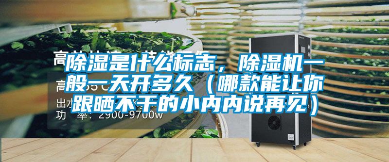 除濕是什么標(biāo)志，除濕機(jī)一般一天開(kāi)多久（哪款能讓你跟曬不干的小內(nèi)內(nèi)說(shuō)再見(jiàn)）
