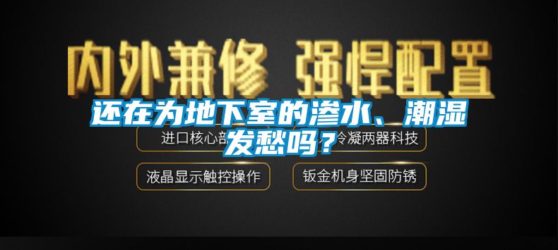 還在為地下室的滲水、潮濕發(fā)愁嗎？