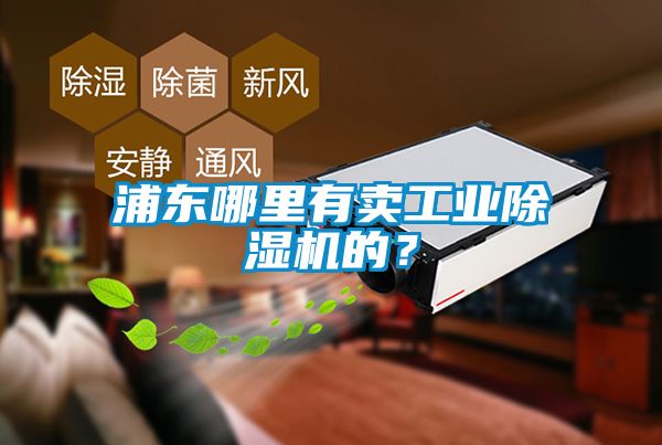 浦東哪里有賣工業(yè)除濕機的？