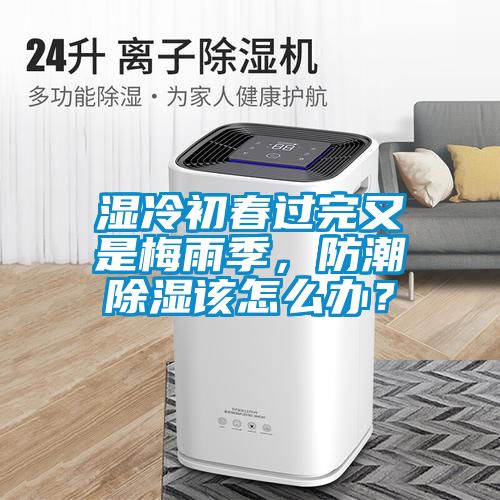 濕冷初春過完又是梅雨季，防潮除濕該怎么辦？