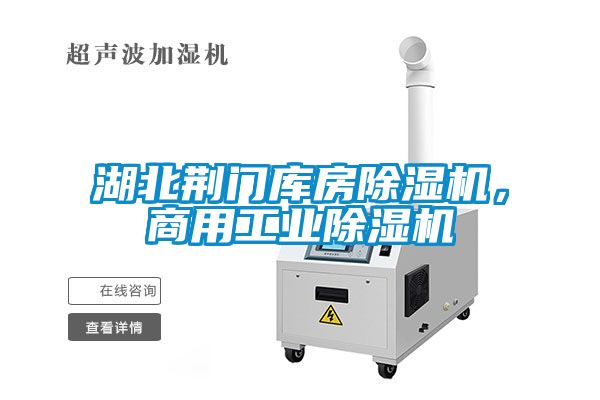 湖北荊門庫房除濕機，商用工業(yè)除濕機