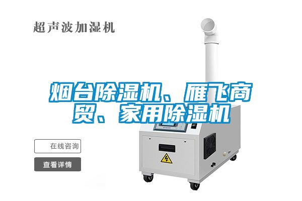 煙臺除濕機(jī)、雁飛商貿(mào)、家用除濕機(jī)
