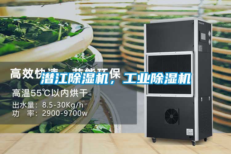 潛江除濕機(jī)，工業(yè)除濕機(jī)