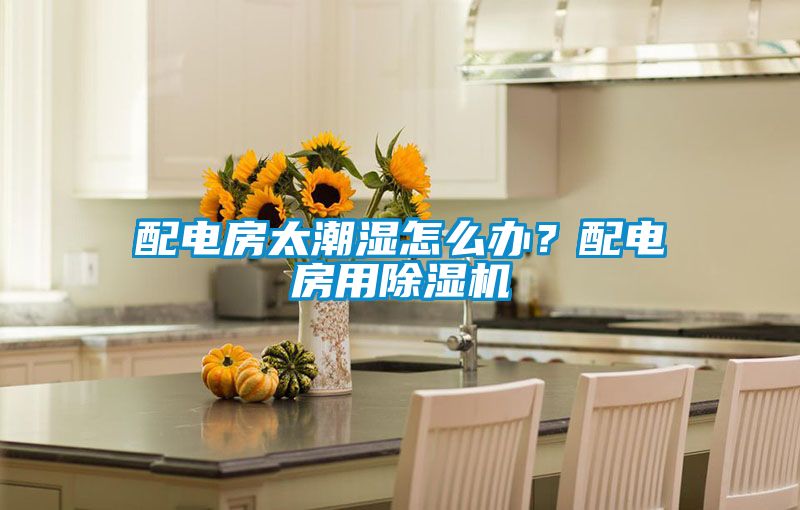 配電房太潮濕怎么辦？配電房用除濕機(jī)